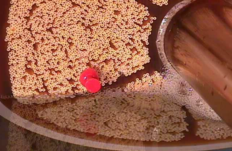 中空纖維膜膜絲修復(fù)操作